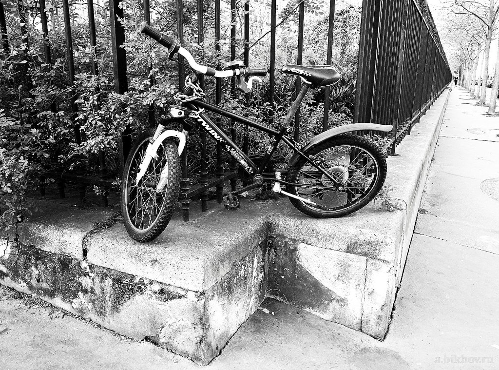 Alexander Bikbov: Paris-COVID, a study of signs of presence